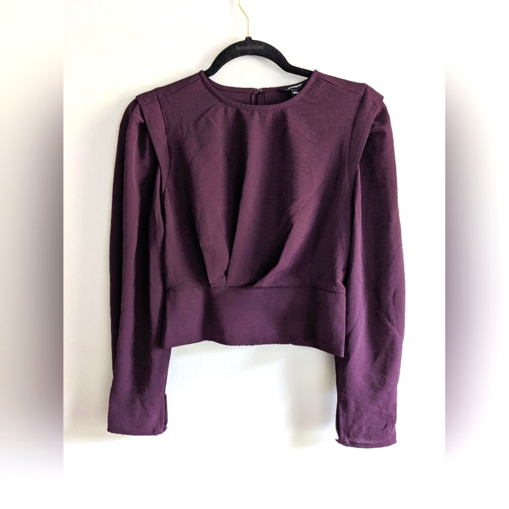 Burgundy Ruched Long Sleeve Express Blouse